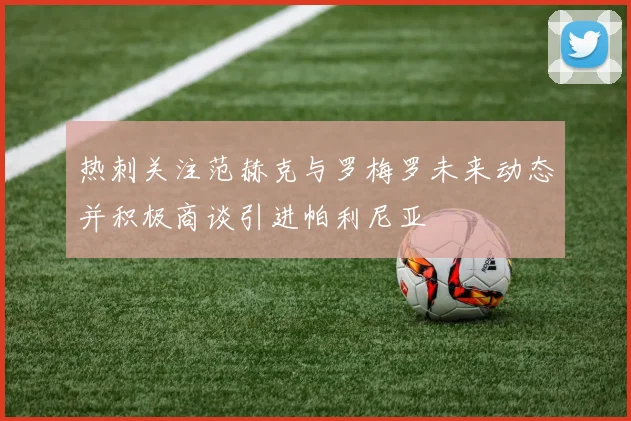 热刺关注范赫克与罗梅罗未来动态并积极商谈引进帕利尼亚